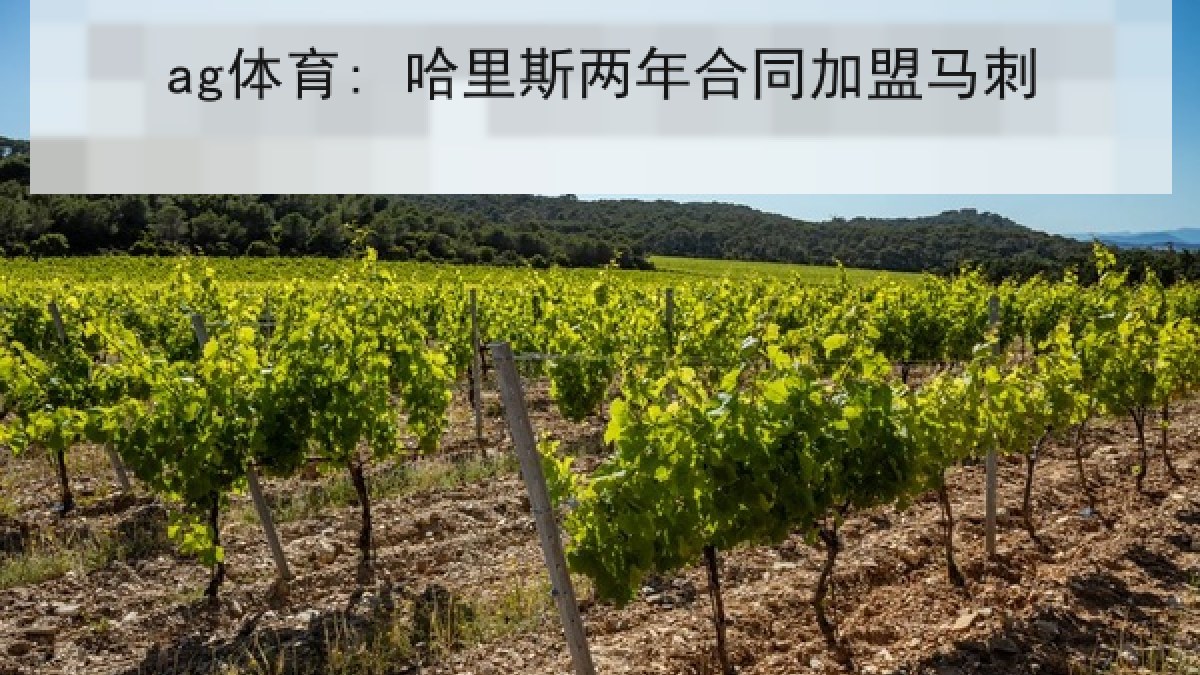 ag体育: 哈里斯两年合同加盟马刺