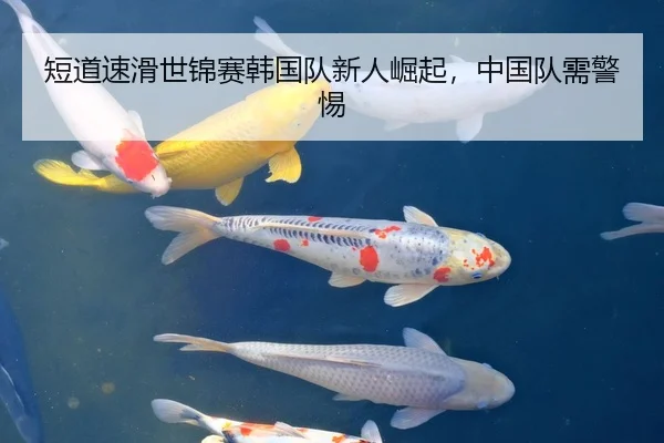 短道速滑世锦赛韩国队新人崛起，中国队需警惕