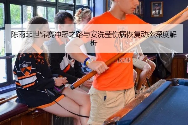 陈雨菲世锦赛冲冠之路与安洗莹伤病恢复动态深度解析