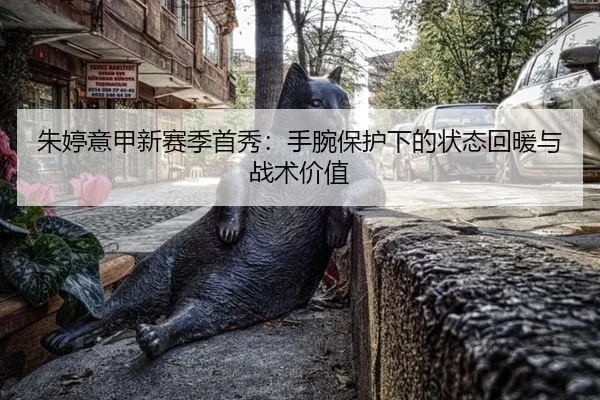 zhu-ting-yi-jia-xin-sai-ji-shou-xiu-shou-wan-bao-hu-xia-de-zhuang-tai-hui-nuan-yu-zhan-shu-jia-zhi-3-571.jpg