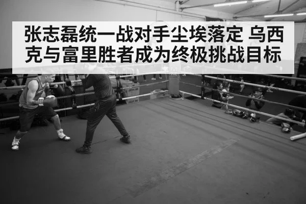 boxer training gym