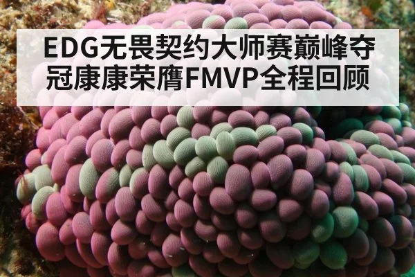 EDG无畏契约大师赛巅峰夺冠康康荣膺FMVP全程回顾